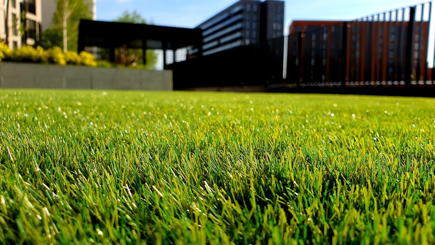 Overgrown yard transformed into a perfectly manicured lawn